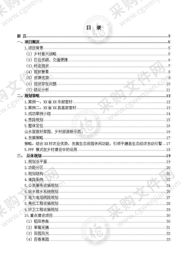 “乡村振兴战略示范村”实施规划