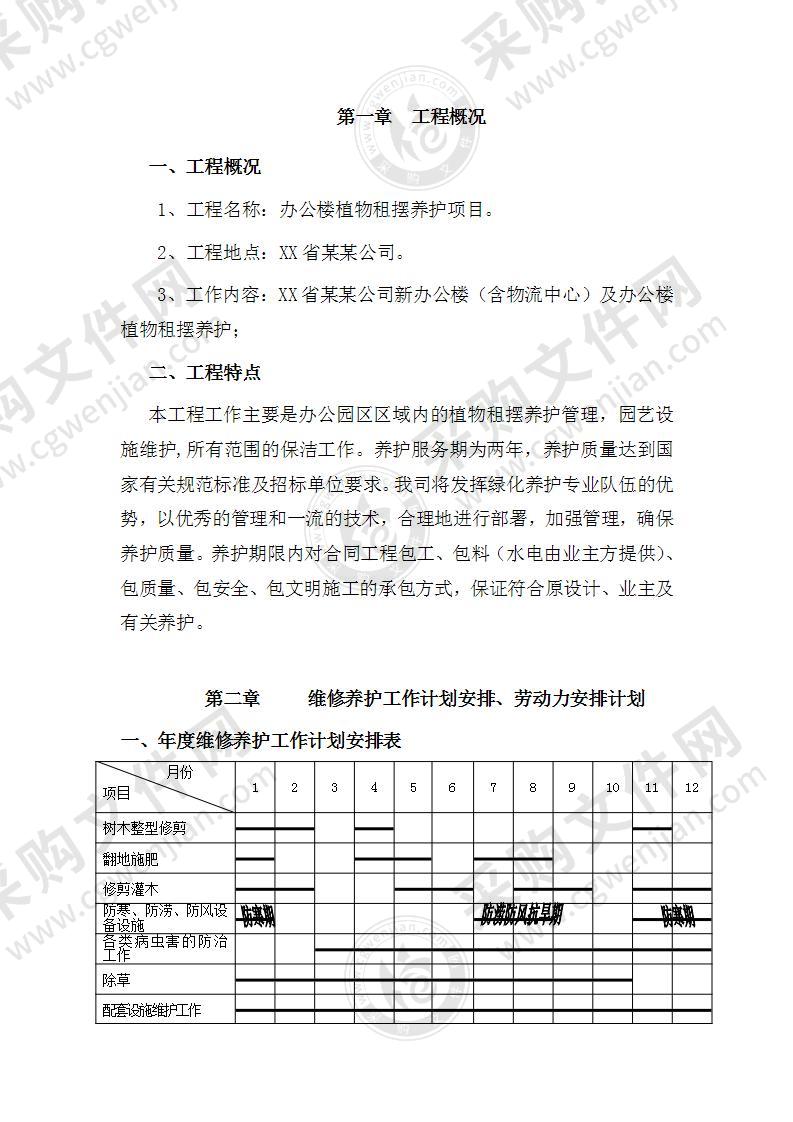 某某公司租摆养护方案