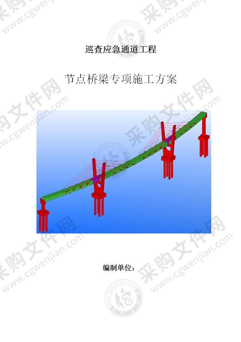 巡查应急通道节点桥梁专项施工方案