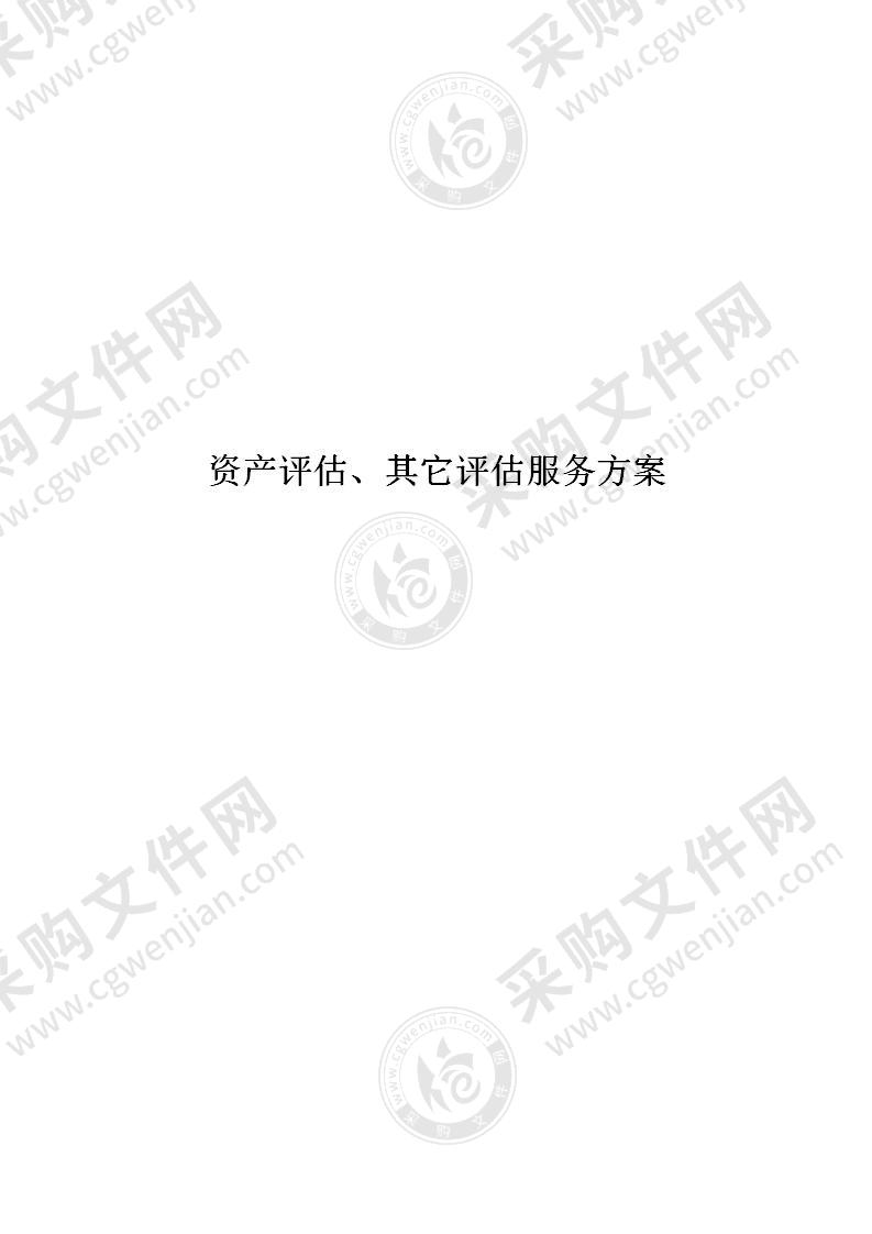 资产评估、其它评估服务方案