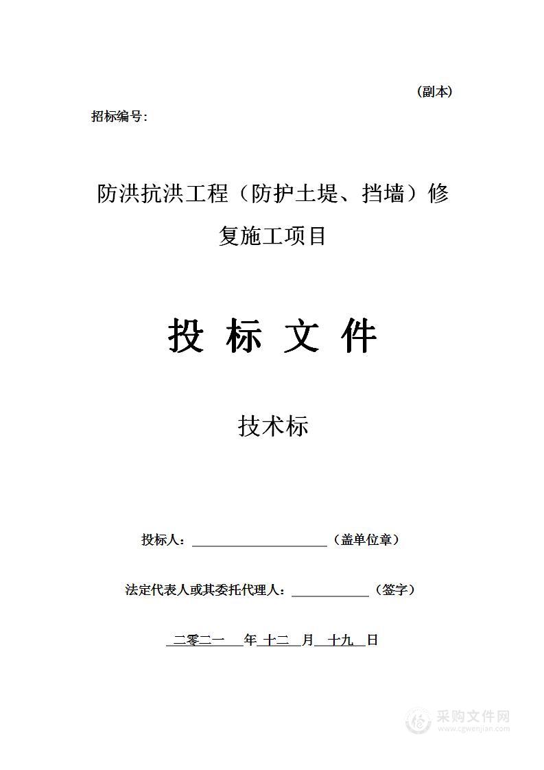 防洪抗洪工程（防护土堤、挡墙）修复施工项目