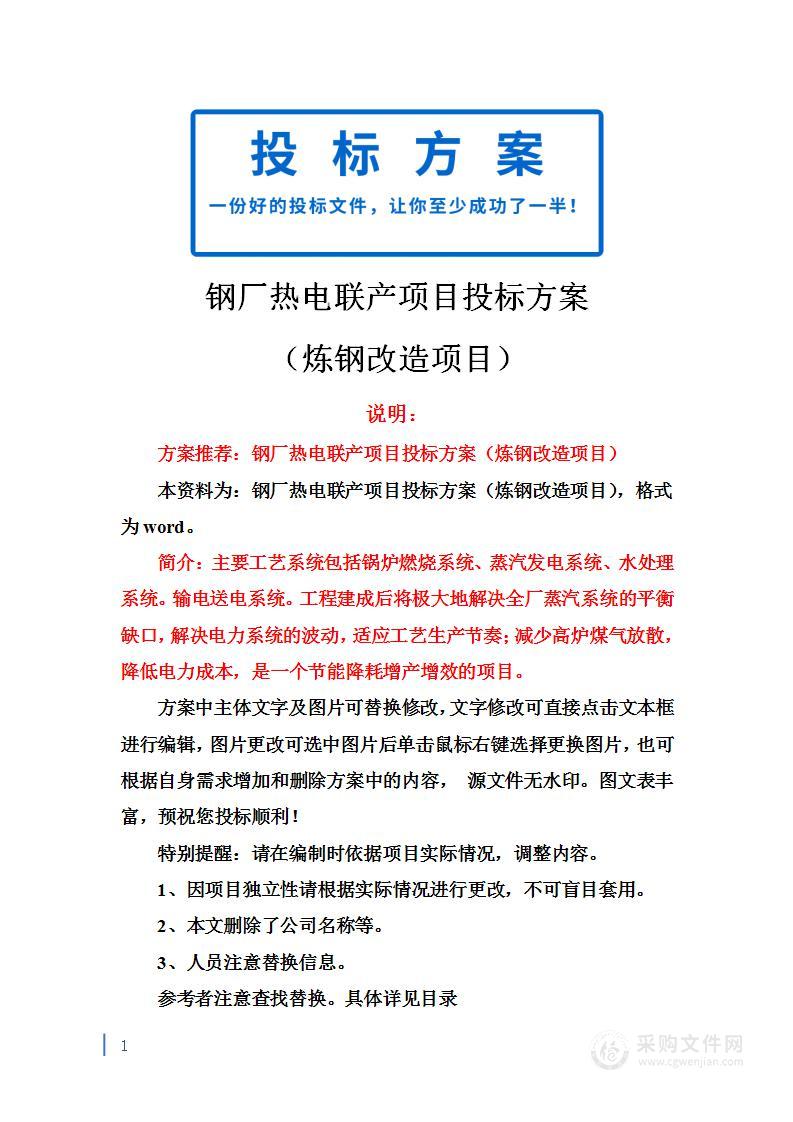 钢厂热电联产项目投标方案（炼钢改造项目）