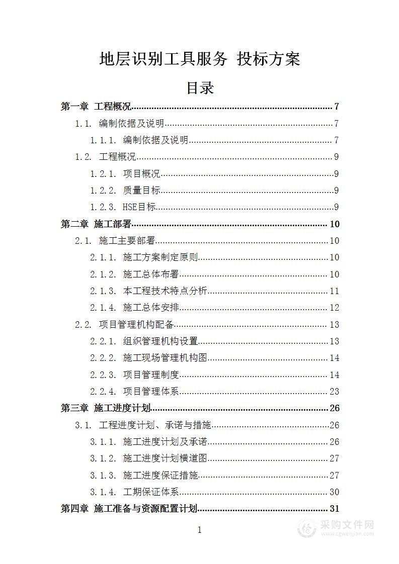 地层识别工具服务 投标方案