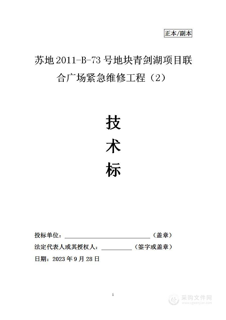 广场紧急维修项目投标方案