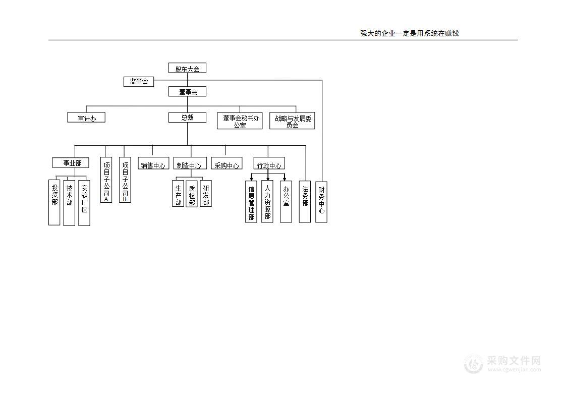 集团、公司组织机构图示例