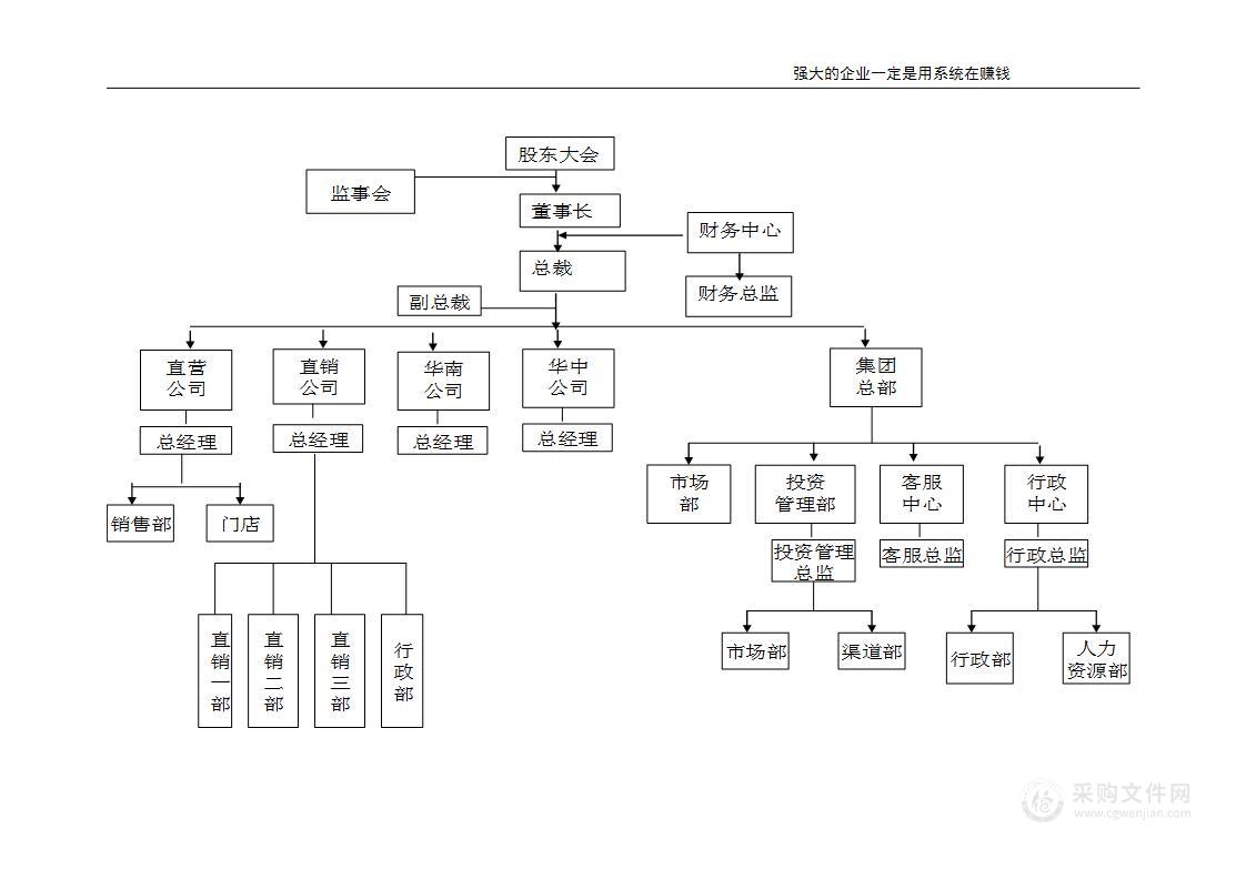 集团、公司组织机构图示例