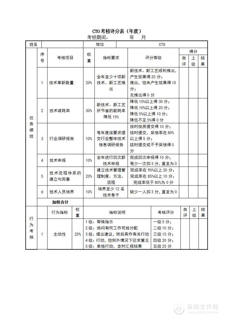 绩效考核表（CTO）