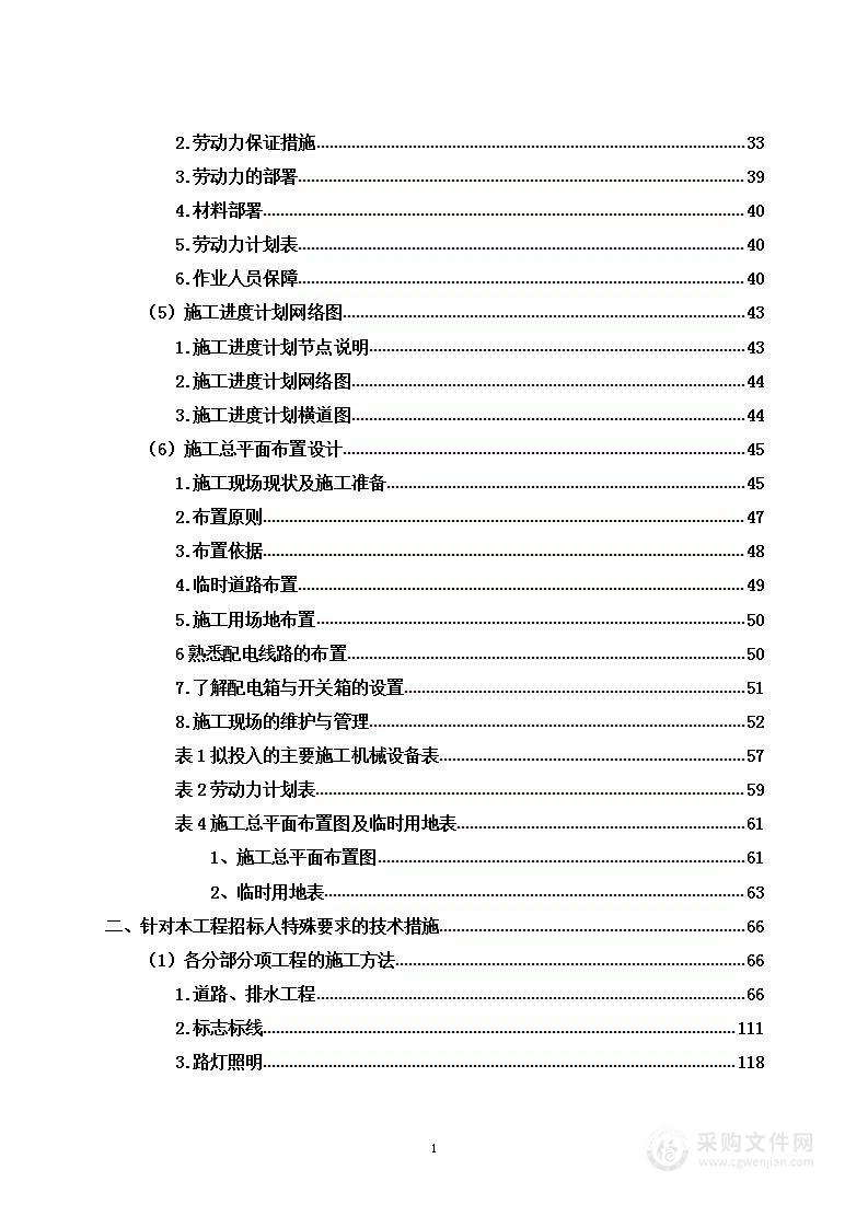 道路改造及路灯安装工程项目投标方案