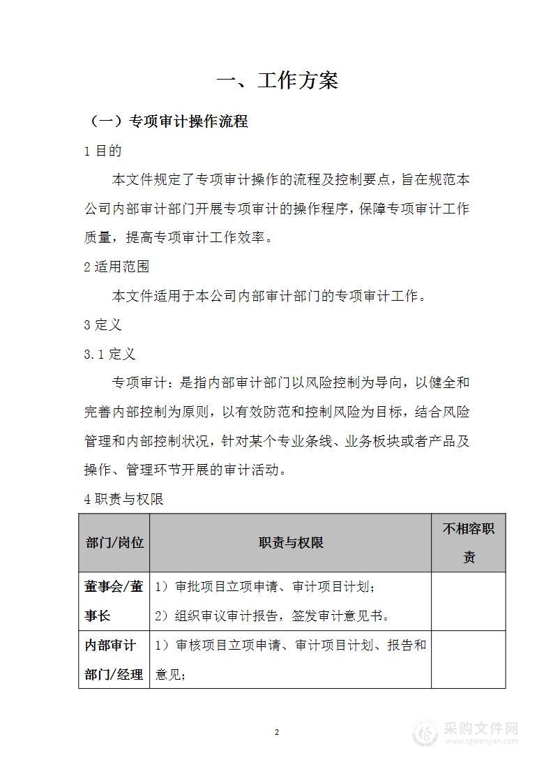 审核及部分子公司专项审计技术方案