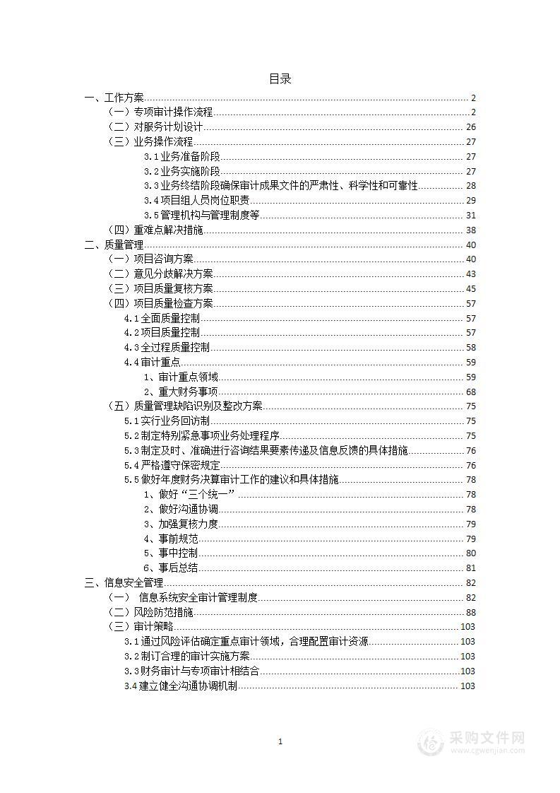 审核及部分子公司专项审计技术方案